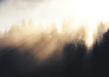 Parashikimi i motit për sot – e mërkurë