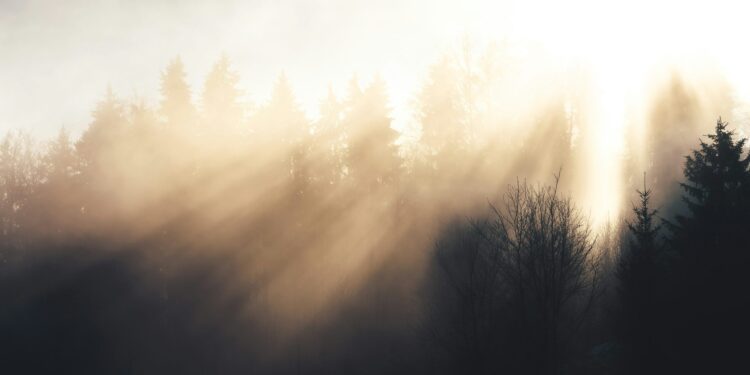 Parashikimi i motit për sot – e mërkurë