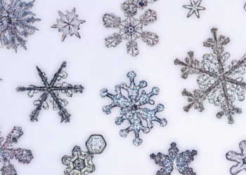 Parashikimi i motit për sot – e hënë