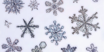 Parashikimi i motit për sot – e hënë