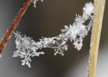 Parashikimi i motit për sot – e mërkurë