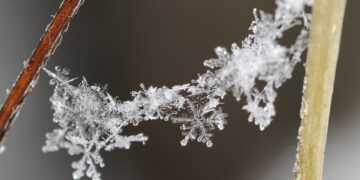 Parashikimi i motit për sot – e mërkurë