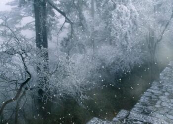 Parashikimi i motit për sot – e premte