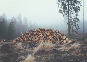 Parashikimi i motit për sot – e hënë