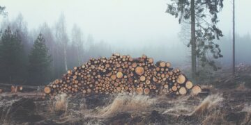 Parashikimi i motit për sot – e hënë