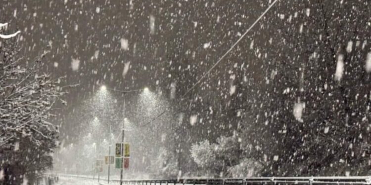 Parashikimi i motit për sot – e shtunë