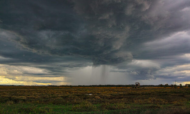 Parashikimi i motit për sot – e mërkurë