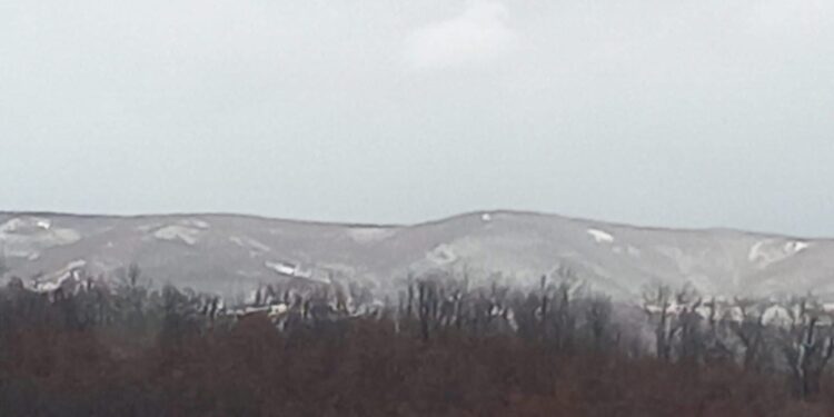 Parashikimi i motit për sot – e shtunë