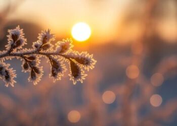 Parashikimi i motit për sot – e hënë