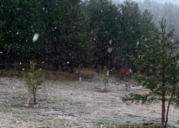 Parashikimi i motit për sot – e martë