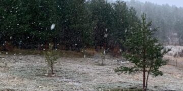 Parashikimi i motit për sot – e martë