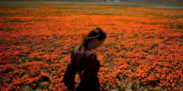 Sezoni i alergjive, këta janë hapat që duhet të ndërmerrni