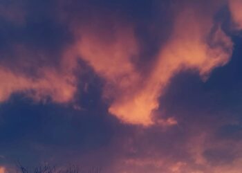 Parashikimi i motit për sot – e hënë