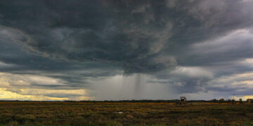 Parashikimi i motit për sot – e enjte