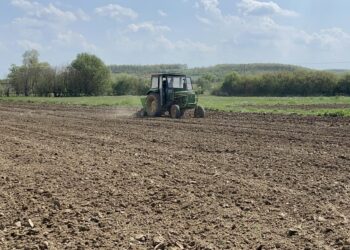 Prezantohen pagesat për kulturat bujqësore, shumica do të mbështeten 150 euro për hektar