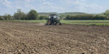 Prezantohen pagesat për kulturat bujqësore, shumica do të mbështeten 150 euro për hektar