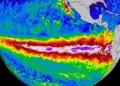 A po vjen “El Niño” në vitin 2026? Çfarë thonë shkencëtarët