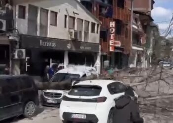 Rrëzohet një lis në Prishtinë, bie mbi dy vetura