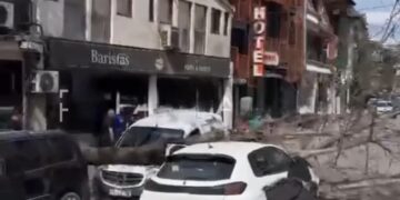 Rrëzohet një lis në Prishtinë, bie mbi dy vetura