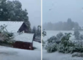 Pamje nga Sllovenia, borë si në mes të dimrit