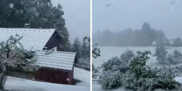 Pamje nga Sllovenia, borë si në mes të dimrit