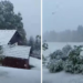 Pamje nga Sllovenia, borë si në mes të dimrit