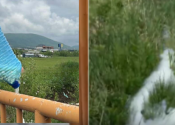 Fermerët hedhin qumështin në lumë pas uljes së çmimit