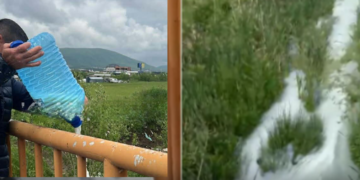 Fermerët hedhin qumështin në lumë pas uljes së çmimit