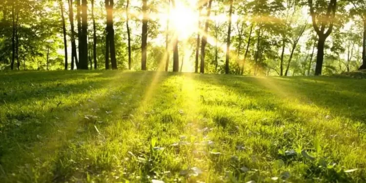 Sot nisi zyrtarisht vera astronomike, dita më e gjatë e vitit
