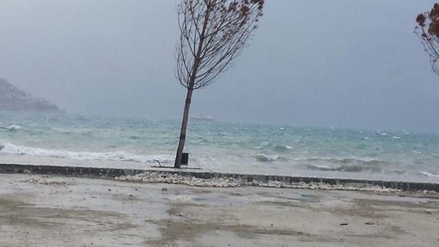 Zbardhen detaje nga ngjarja e rëndë në Shëngjin