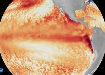 El Niño vë në rrezik kafenë dhe sheqerin në mbarë botën