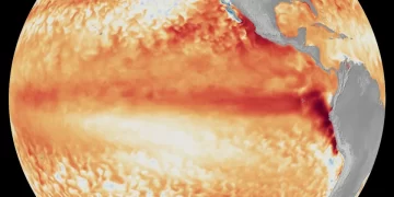 El Niño vë në rrezik kafenë dhe sheqerin në mbarë botën
