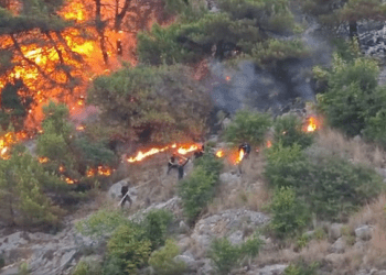 Autoritetet në Shëngjin luftuan me zjarrin gjatë gjithë natës, ndërhyjnë edhe Forcat e Armatosura