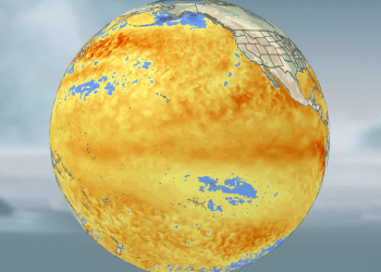 El Niño” tronditje për ekonominë botërore: Nga moti ekstrem te rritja e çmimeve, çfarë mund të sjellë fenomeni klimatik
