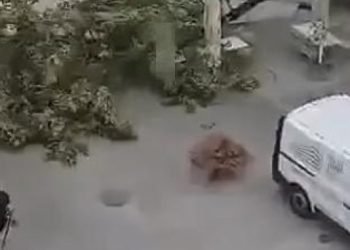 Erëra të forta përfshijnë Slloveninë, shikoni pamjet dramatike nga Lubjana