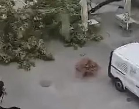 Erëra të forta përfshijnë Slloveninë, shikoni pamjet dramatike nga Lubjana