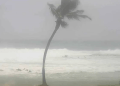 E pazakontë në Hawaii: Për herë të parë pati paralajmërim për tornado gjatë kalimit të uraganit