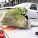Pse banorët e Siberisë nuk i fikin makinat kur temperaturat bien në -40°C?