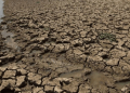 El Niño shkakton krizë të rëndë në Paqësor, 8 milionë njerëz preken nga thatësira
