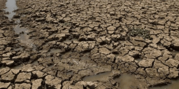 El Niño shkakton krizë të rëndë në Paqësor, 8 milionë njerëz preken nga thatësira