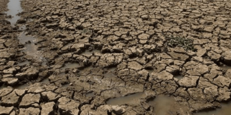 El Niño shkakton krizë të rëndë në Paqësor, 8 milionë njerëz preken nga thatësira
