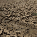 El Niño shkakton krizë të rëndë në Paqësor, 8 milionë njerëz preken nga thatësira